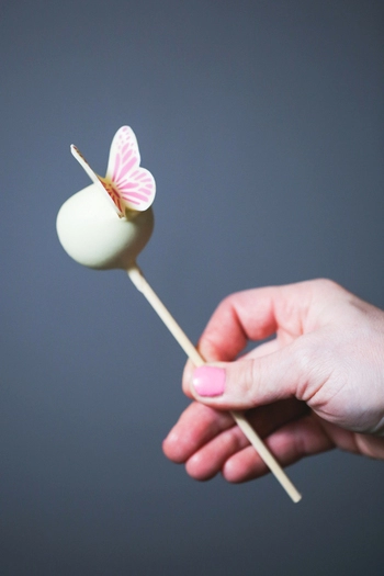 Cakepops & Popsicles Confectionery set