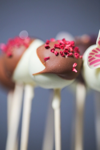 Cakepops & Popsicles Confectionery set