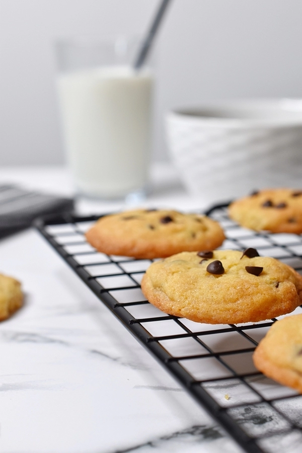 american biscuits with cranberries